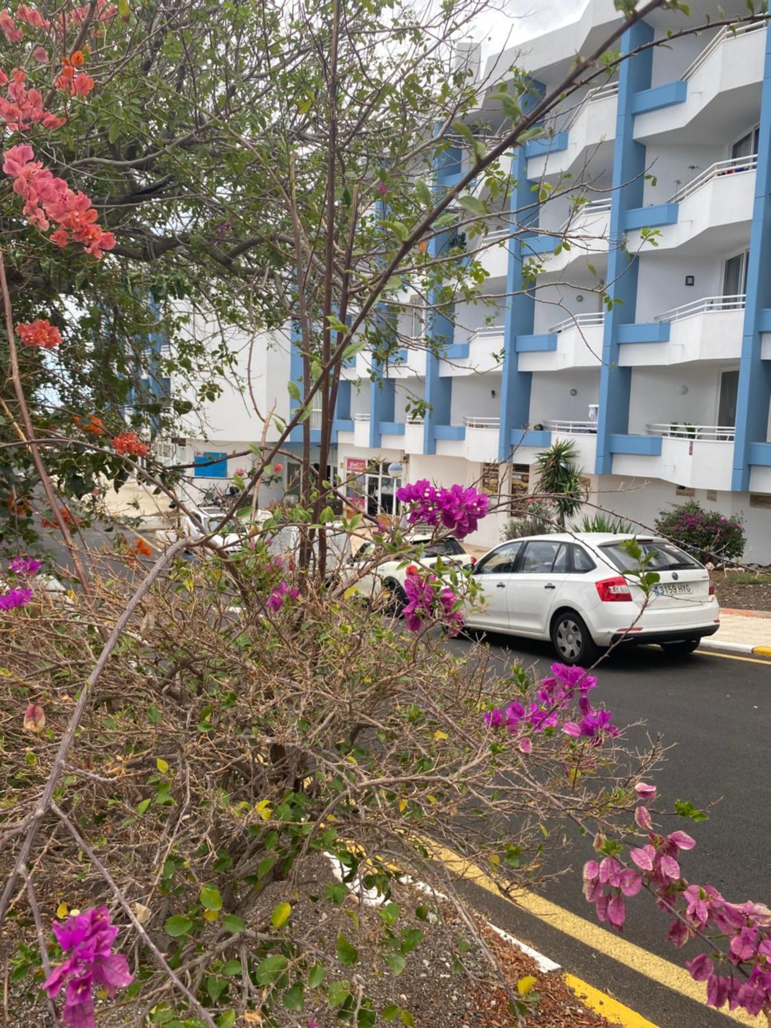 Sissy Tenerife Apartman ซานมิเกลเดียโบนา ภายนอก รูปภาพ